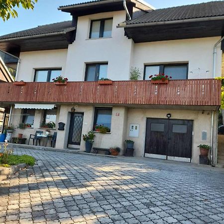 Apartment Katrin Zirovnica Bagian luar foto