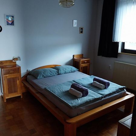 Apartment Katrin Zirovnica Bagian luar foto